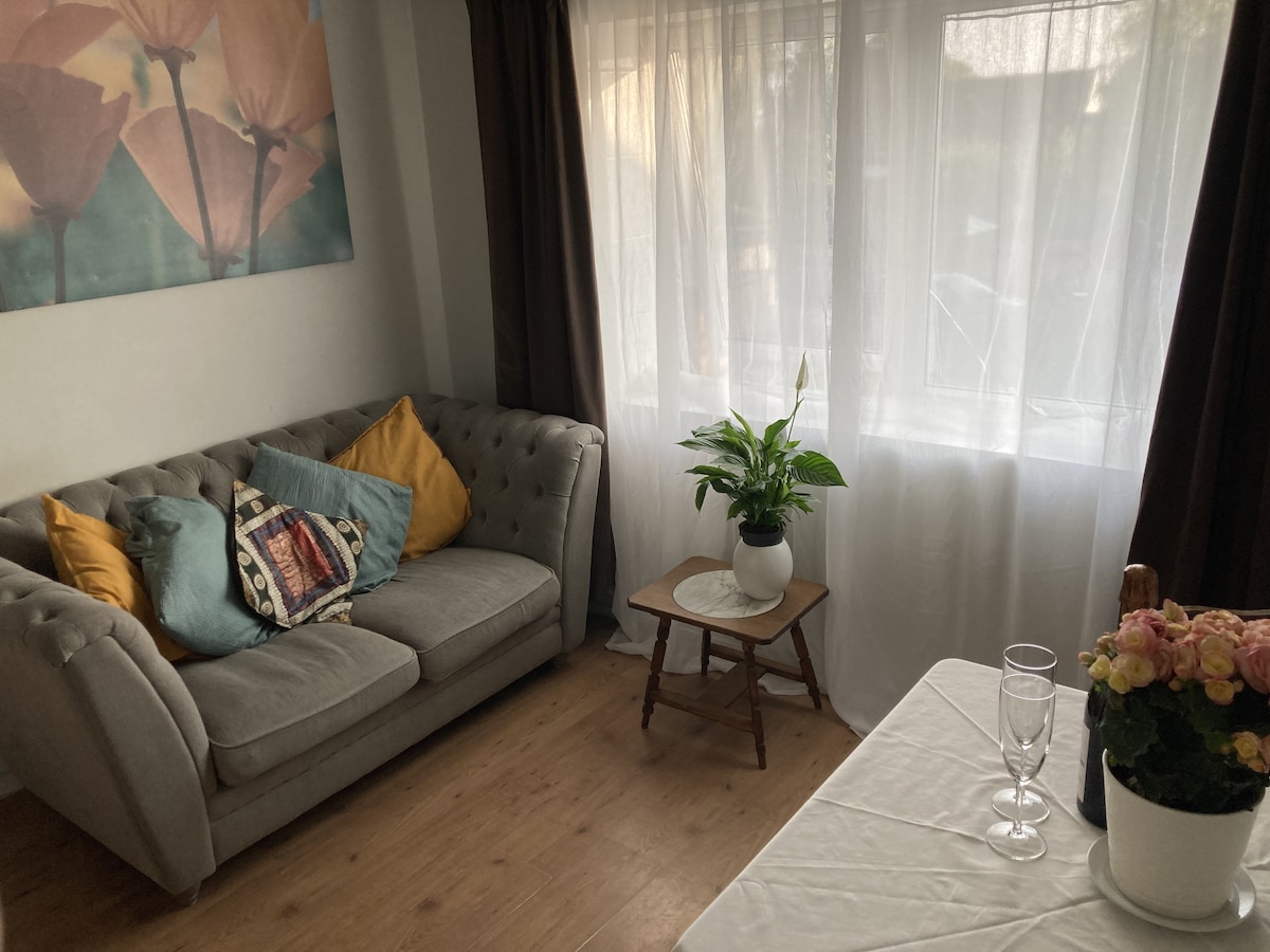 1-Bed Apartment Affluent Village M1 J30, Sheffield